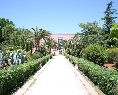 kookvakantie culinary holiday Puglia