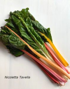 rainbow chard