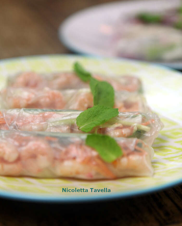 Mediterrane spring rolls